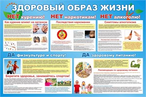 Экология, здоровый образ жизни и здоровье сбережение