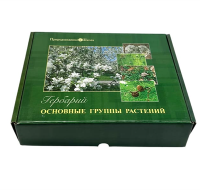 Гербарий Основные группы растений (52 листа) Ihen0DBqgInhrwPNMuRX11 - фото 1407931