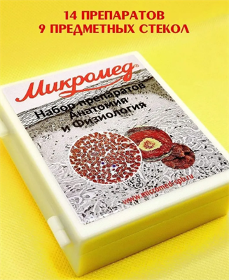 Препараты для микроскопа АНАТОМИЯ и ФИЗИОЛОГИЯ 027086 - фото 1408005