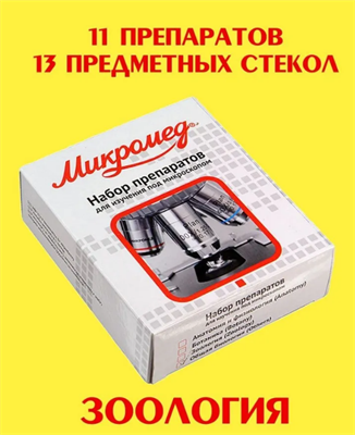 Стекла для микроскопа, препараты образцы 11 шт: ЗООЛОГИЯ, предметные стекла 027082 - фото 1408053