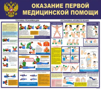 Стенд информационный Оказание первой медицинской помощи 745х650 мм в школу, в детский сад, в офси. 4brJVFdHhK1mMfFOfrjwh1 - фото 1408107