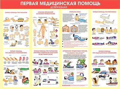 Плакат Первая медицинская помощь. Доврачебная 7sDuU1HJj7BaHrbB2JYUw0 - фото 1408120