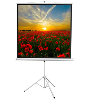 96" Экран для проектора Digis Kontur-D DSKD-1104 02830965269 - фото 1408630