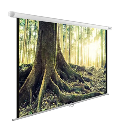 Экран Cactus WallExpert CS-PSWE-220x220-WT, 220х220 см, 1:1, настенно-потолочный 6ZjgR5jvhD2NB3qE4cCwA0 - фото 1409278