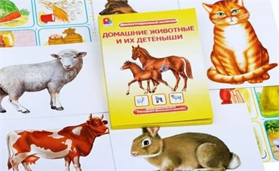 Настольная игра Радуга Домашние животные и их детеныши 0280605 - фото 1410094
