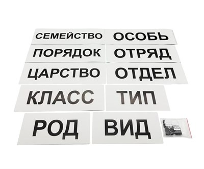 Модель-аппликация Классификация растений и животных 0283096599725 - фото 1411071
