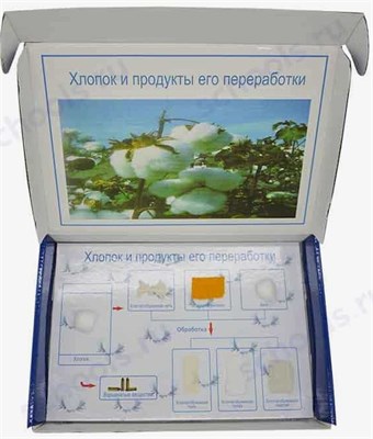 Коллекция «Хлопок и продукты его переработки» демонстрационная H3wKdVvfhKh3PXuu88p5Z1 - фото 1412233