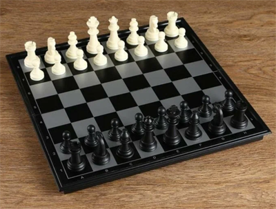 Игра настольная "Шахматы", магнитная доска 32 х 32 см 0282061 - фото 1412588