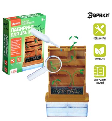 Набор для опытов «Лабиринт для цветка» 0283096600152
