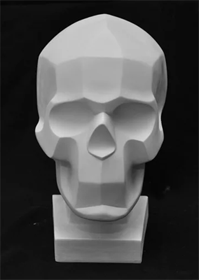Гипсовая модель "Череп человека" (обрубовка) 026013