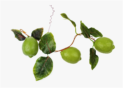 Ветка муляжей "Лайм" 025985