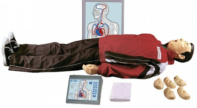Тренажер сердечно-легочной и мозговой реанимации 026178 - фото 1416984