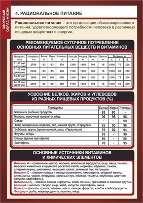 Стенд "Рациональное питание"  формат А2 -594 х 420,  пластик 3мм П03-04