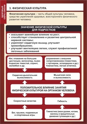 Стенд "Физическая культура"  формат А2 -594 х 420,  пластик 3мм П03-03