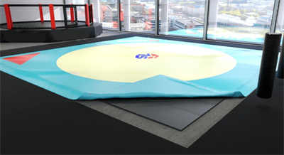 Ковер для самбо 11х11 маты + покрытие (велькро) 0283095480