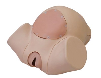 Тренажер по отработке навыков родовспоможения 0281810