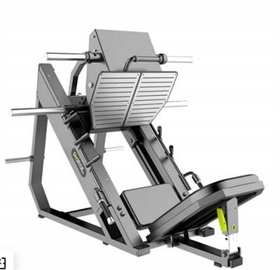 Жим ногами (Leg Press) 01 0282718