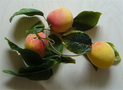 Ветка муляжей "Абрикос" 025970