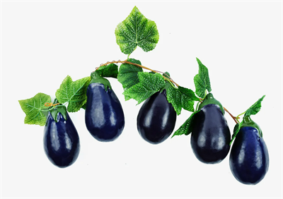 Ветка муляжей "Баклажан" 025975