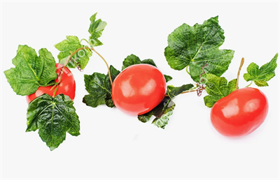 Ветка муляжей "Помидор" 025999