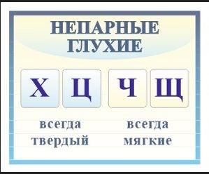 Стенд "Непарные глухие"  500 х 400 пластик 3мм 052473