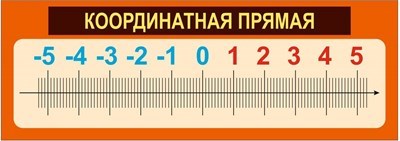 Координатная прямая стенд 850 х 300 пластик 3 мм 05843