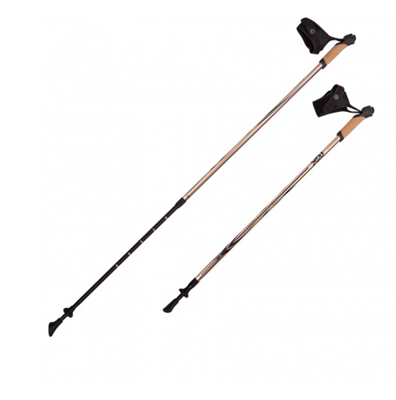 Палки для скандинавской ходьбы NWS-103А раздвижные EOSkRI9ch-ZzK02quMPMO0 - фото 1419133