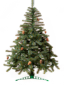 Ель с шишками 220см 0280032 - фото 1419294