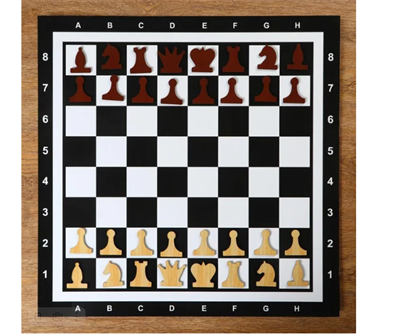 Демонстрационные шахматы на магнитной доске 60х60 см 0280115