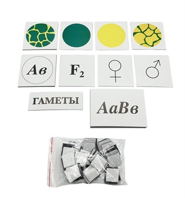 Модель-аппликация Дигибридное скрещевание и его цитологические основы 0283096599723