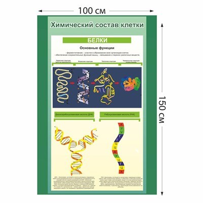 Стенд "Химический состав клетки" пластик 3 мм размер 1000 х 1500 мм 05703