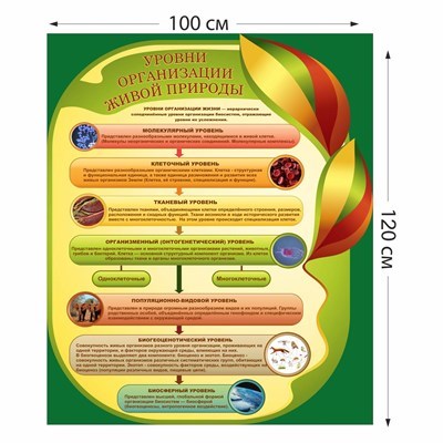 Стенд "Уровни организации живой природы" пластик 3 мм размер 1000 х 1500 мм 05731
