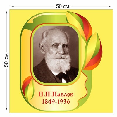 Стенд "Павлов И.П." пластик 3 мм размер 500 х 500 мм 05725