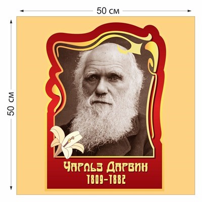 Стенд "Чарльз Дарвин" пластик 3 мм размер 500 х 500 мм 05716