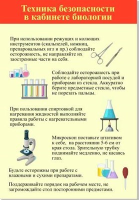 Стенд "Техника безопасности в кабинете биологии" пластик 3 мм размер  680х980 мм 05750