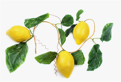Ветка муляжей "Лимон" 025987