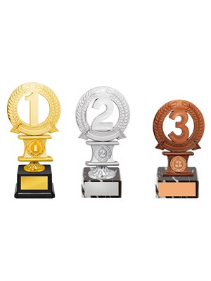 Награда «1/2/3 место» - PS1035 0282915