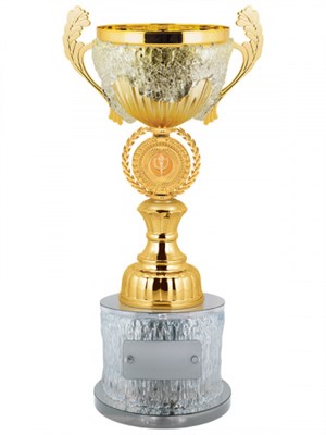 Кубок оригинальный 025883