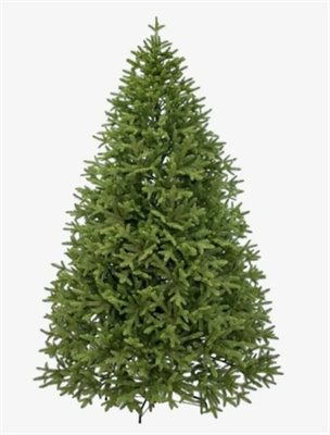 Ель Крымская 250 0283096162 - фото 1420761