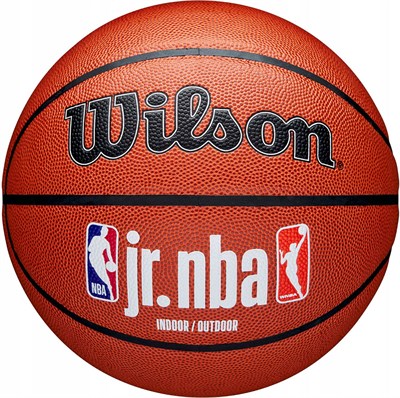 Мяч баскетбольный Wilson JR. NBA Fam Logo Indoor Outdoor 31659