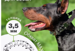 Строгий ошейник для дрессировки собак lR560RgZhKtua177QI6-L0 - фото 1421285