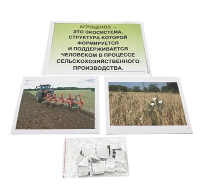 Модель-аппликация Агроценоз 0283096599715
