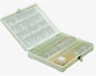 Набор готовых микропрепаратов Микромед №80 0283095049