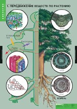 БИОЛОГИЯ Растение - живой организм. 02830600