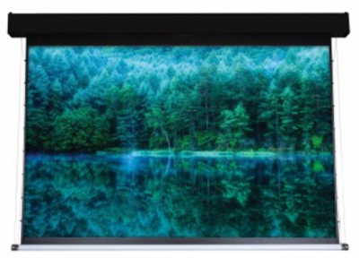 Моторизированный экран ViewScreen Antis Pro 699x524 см. 028309096