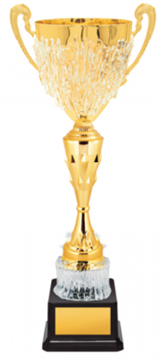 Кубок оригинальный 025862