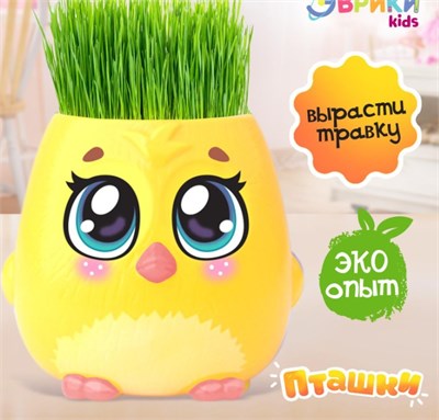 Набор для опытов "выращиваем травку" 0283096600139