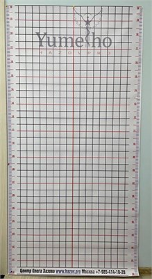 Плакат Юмейхо Диагностический «Сетка». N8CFdtHKjvJvJ1g9J88wS3