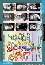 БИОЛОГИЯ Введение в Экологию 02830607