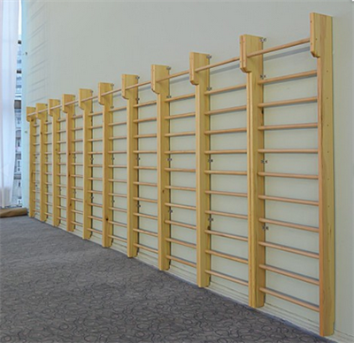 Стенка гимнастическая с выносом 2400х800 ОС-14524